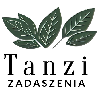 logo tanzi